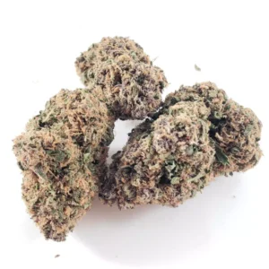 Blue Cookies Strain