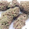 London Pound Cake Strain | Midshelf
