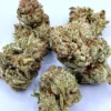 Afghan Gold | Super Exotic