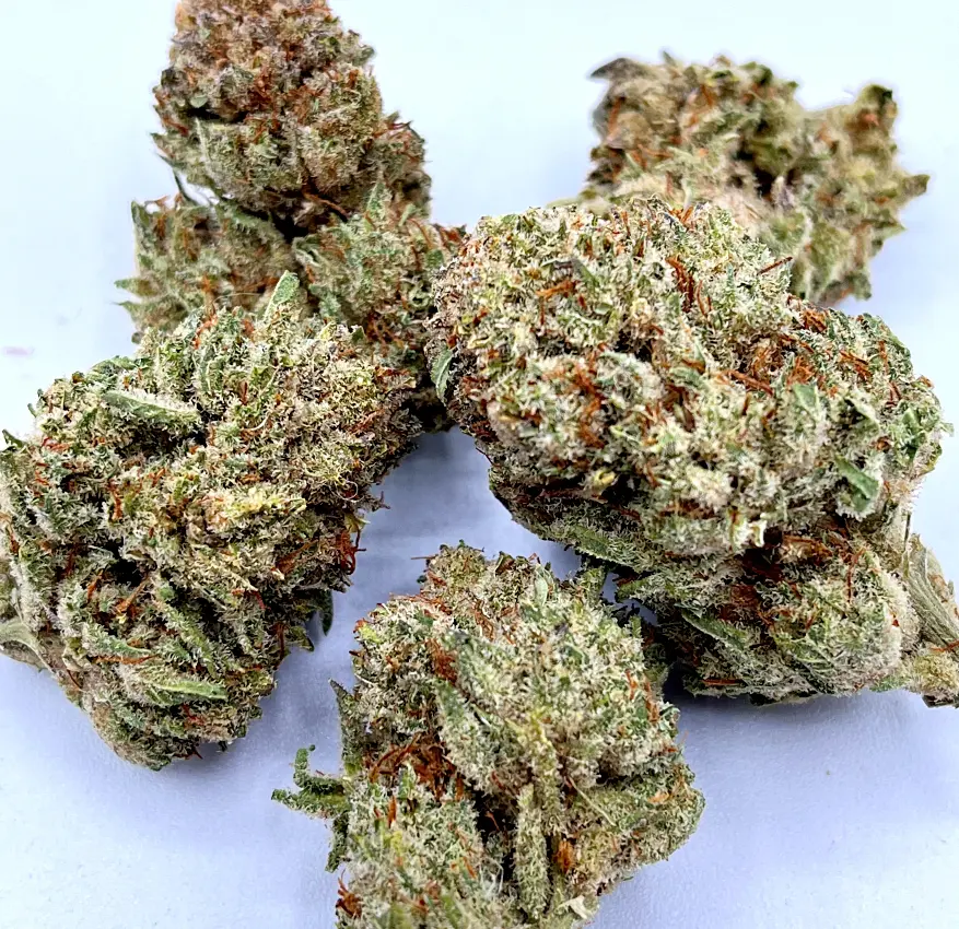 afghan-gold-super-exotic-2.jpg