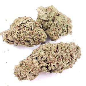 Bubba Kush | Mid Shelf