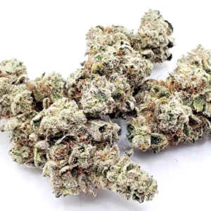 Cereal Milk Strain | Super Exotic