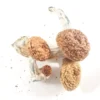 Magic Mushrooms (BOGO 8ths!!)
